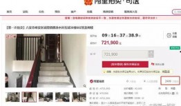 臻鑫资产最新爆料视频,揭秘投资内幕，深度解析市场动态